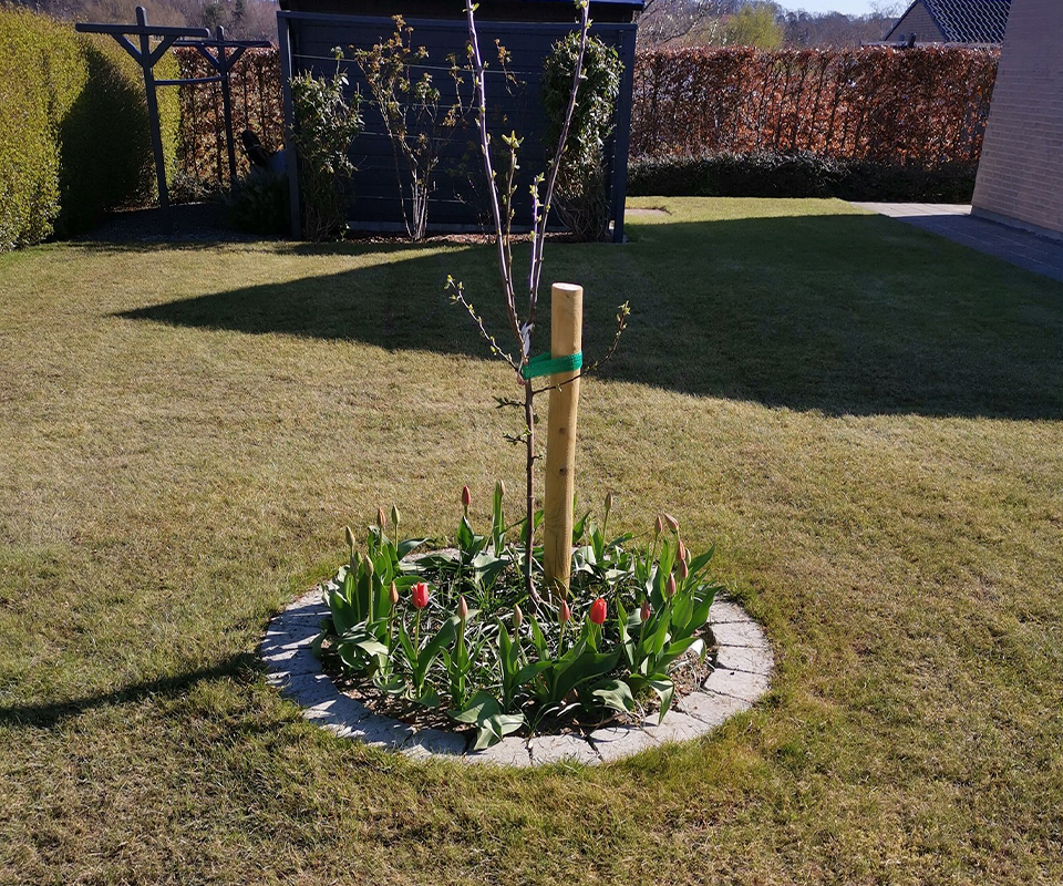 blomsterbed