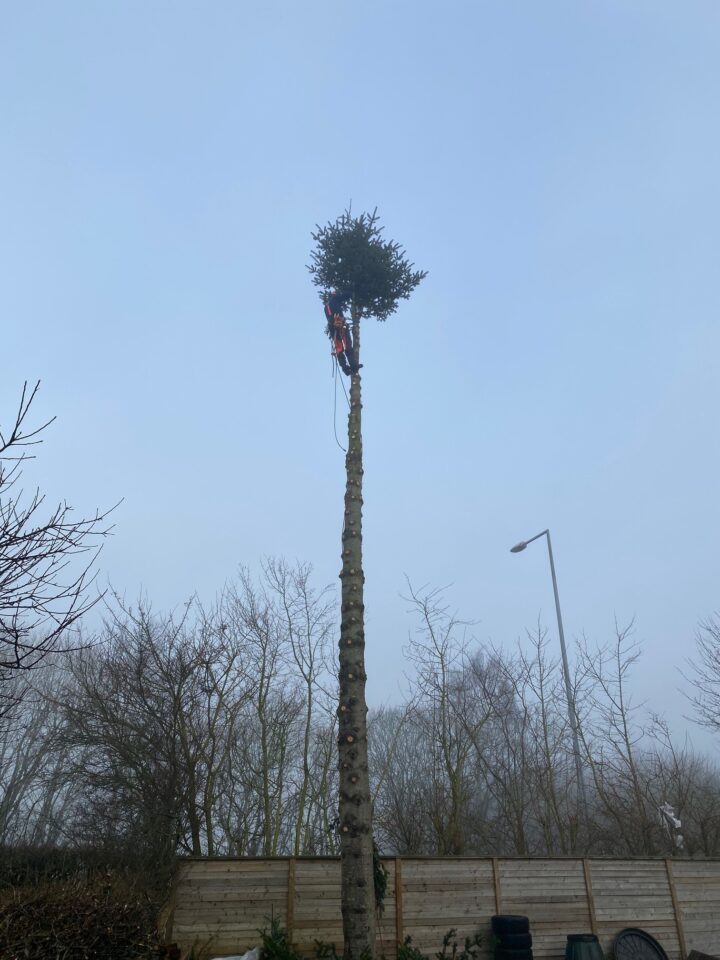 Topkapning Topkapning